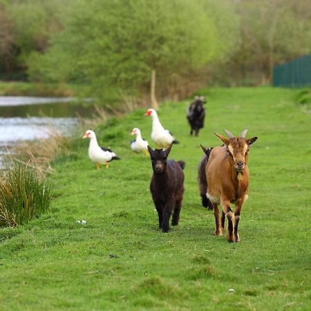 Gites De La Ferme De Vur Ven グヴュー エクステリア 写真
