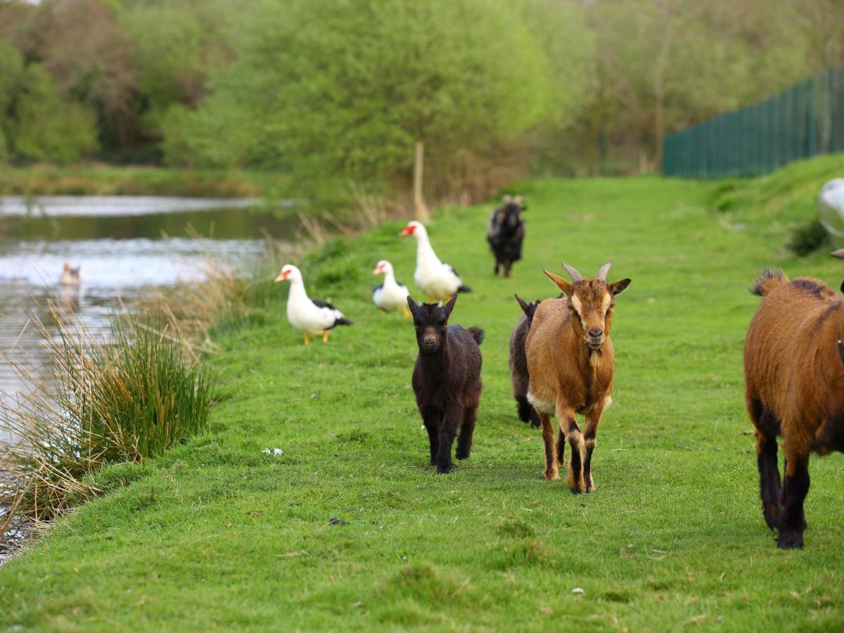 Gites De La Ferme De Vur Ven グヴュー エクステリア 写真